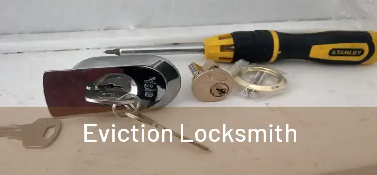  Eviction Locksmith 